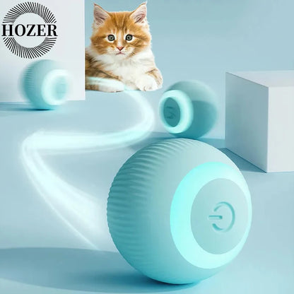 Interactive Hunt & Play Cat Ball